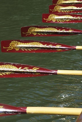 Gloriana's stroke-side blades in action at Henley Royal Regatta