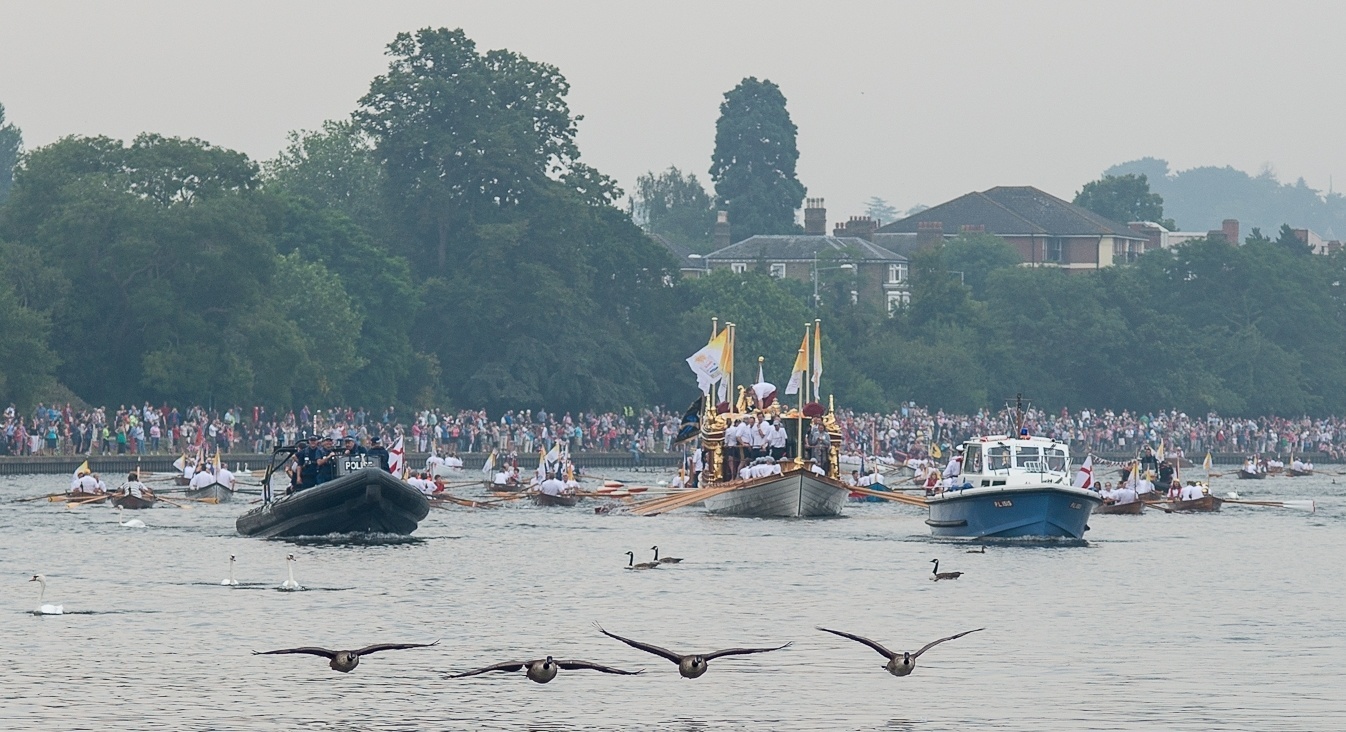 Queen's Parade, Kingston and geese